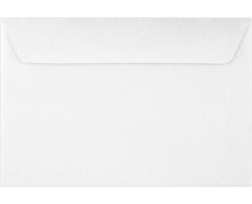 6x9 Booklet Envelope